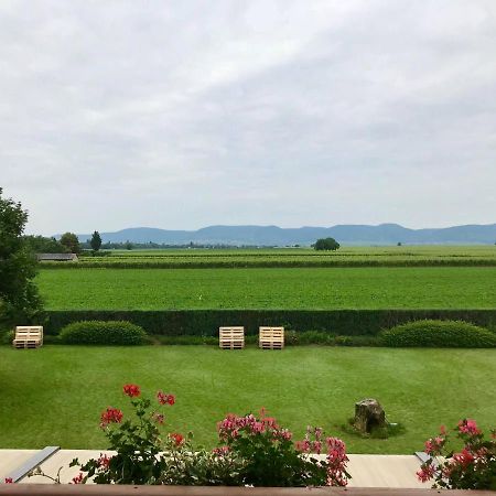 Gaestehaus Vinetum Altdorf  Zewnętrze zdjęcie