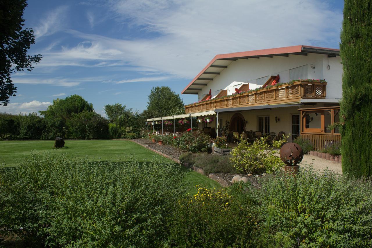 Gaestehaus Vinetum Altdorf  Zewnętrze zdjęcie